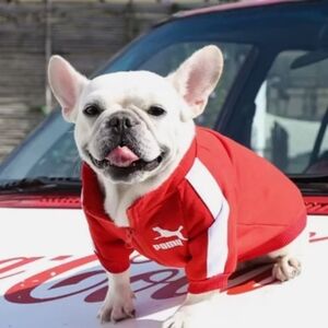 Puma Red Dog Jacket